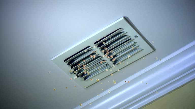 Best HVAC Duct Inspection Services  in Eatonville, WA